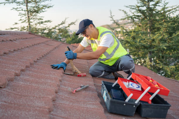 Best Slate Roofing Contractor  in Von Ormy, TX