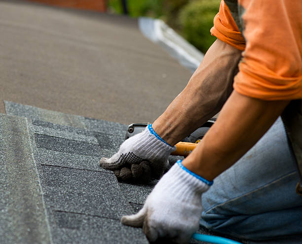 Best Storm Damage Roof Repair  in Von Ormy, TX