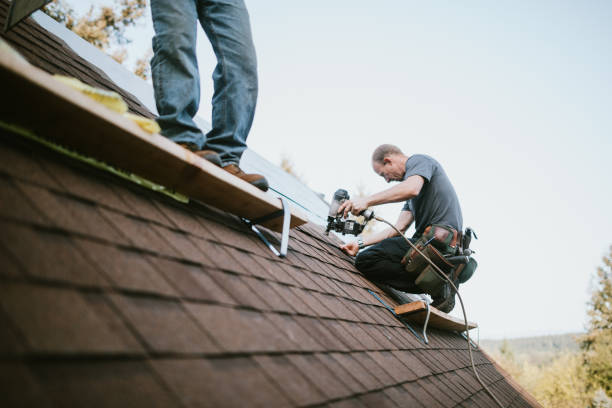 Best Metal Roofing Contractor  in Von Ormy, TX